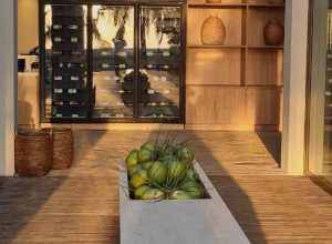 Interior - Hamares Noronha